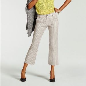 EUC CAbi tick tock crop size 10